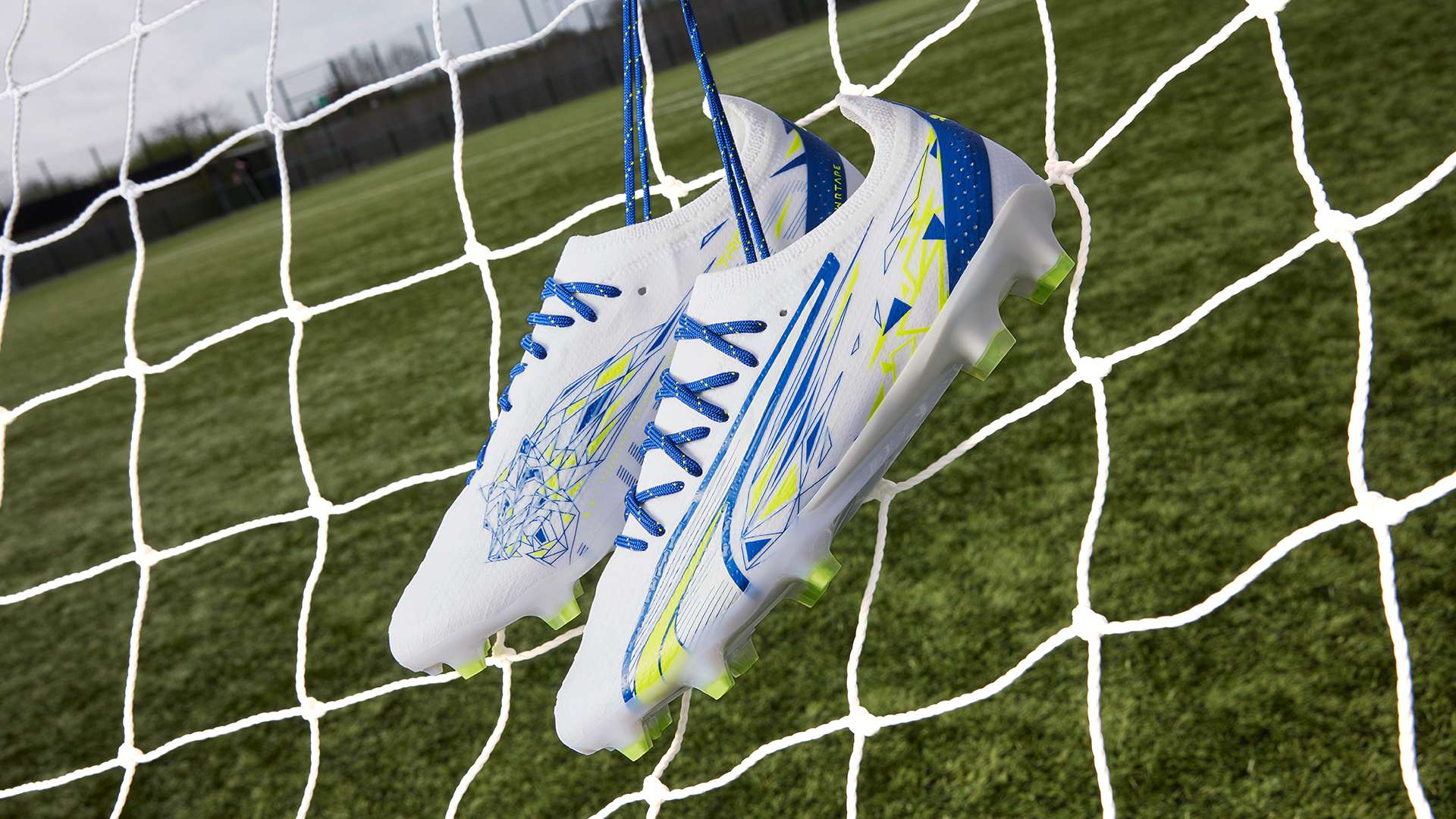 到了自己的 到了自己的