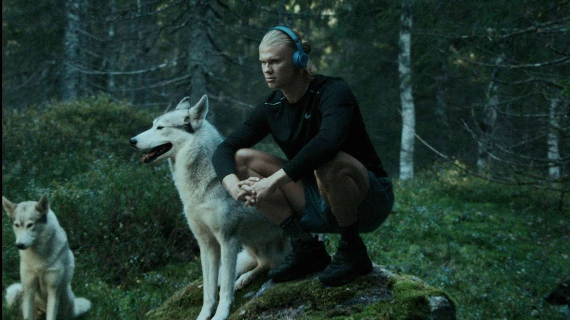 氛围还将吸 氛围还将吸