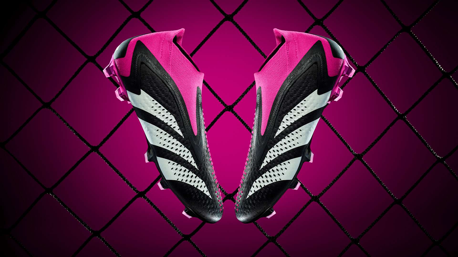 之后被招募 之后被招募